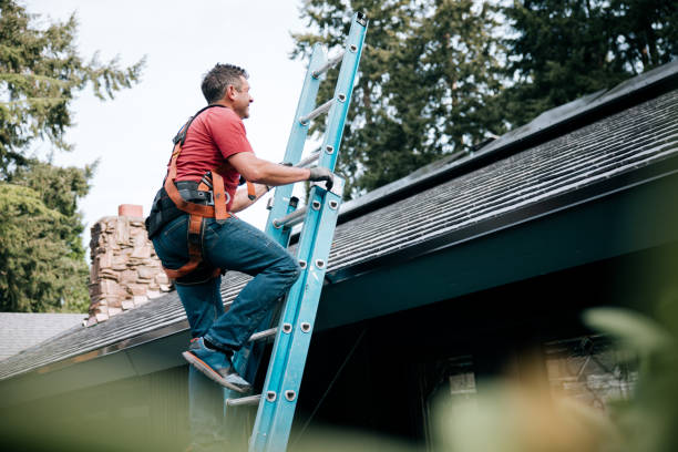 Best Solar Panel Roofing Installation  in Schererville, IN